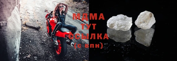 индика Алзамай